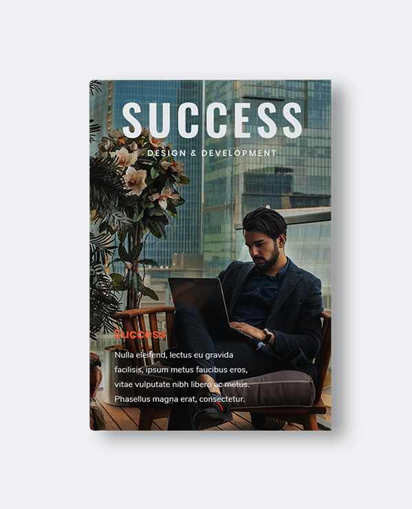 Design and Development Design and Development